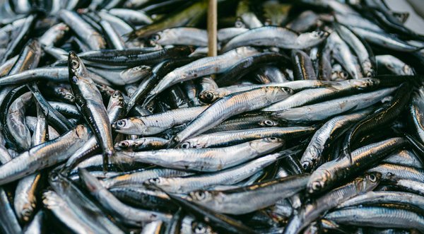 Témoignages de Patients sur les Thérapies Contre le Cancer : Découvertes et Expériences