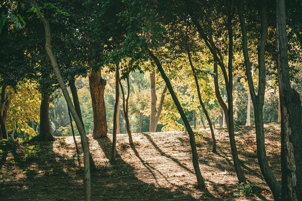 Innovations Marquantes dans le Traitement de l'Arthrite pour les Seniors : Révélations Étonnantes